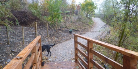 9th November 2021: Path Works Complete!