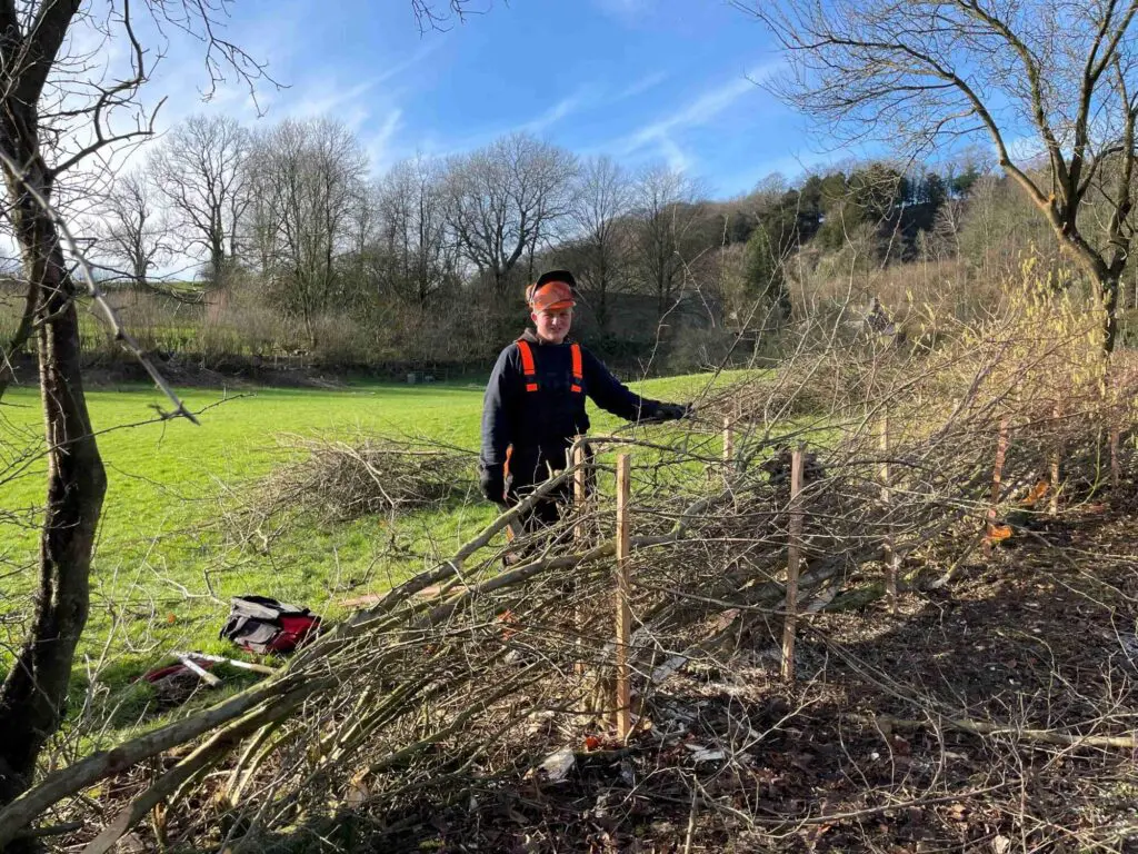 A young man by a hedge