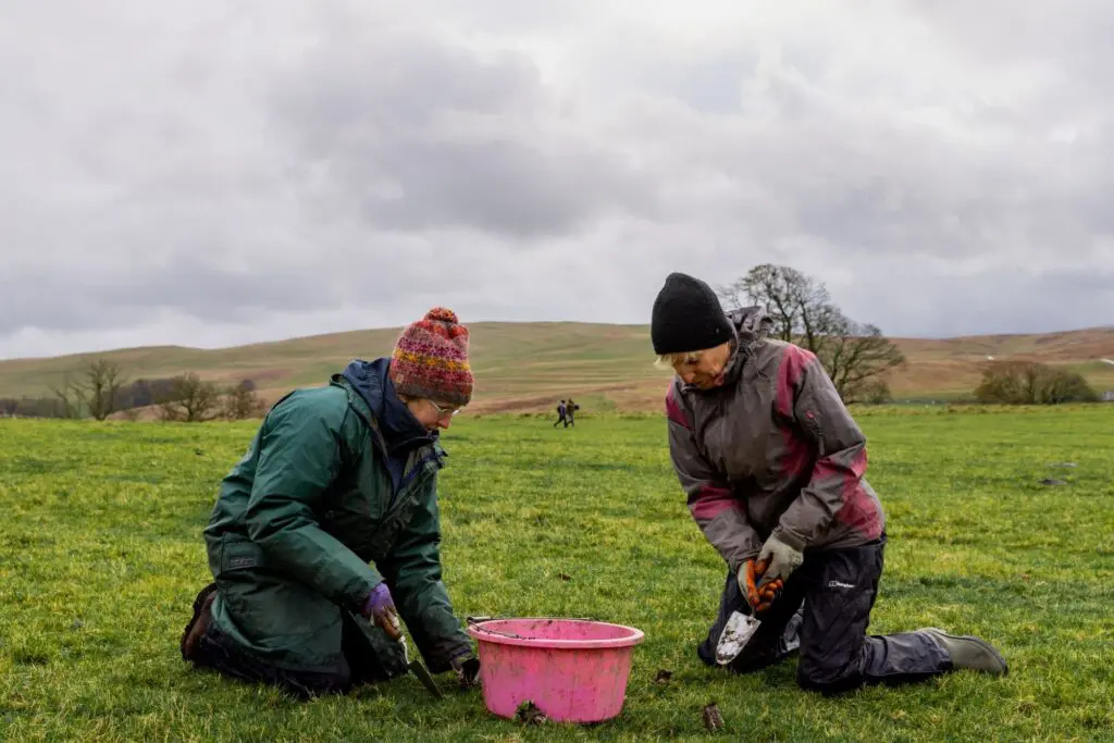 People planting in a field