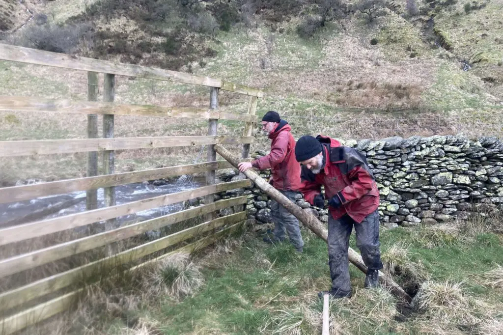 Two people propping up a fence with posts