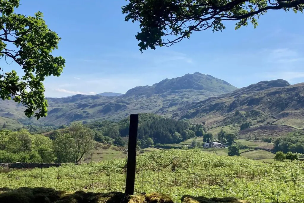 The view up Hardknott from Hows Wood platform. A lovely landscape.
