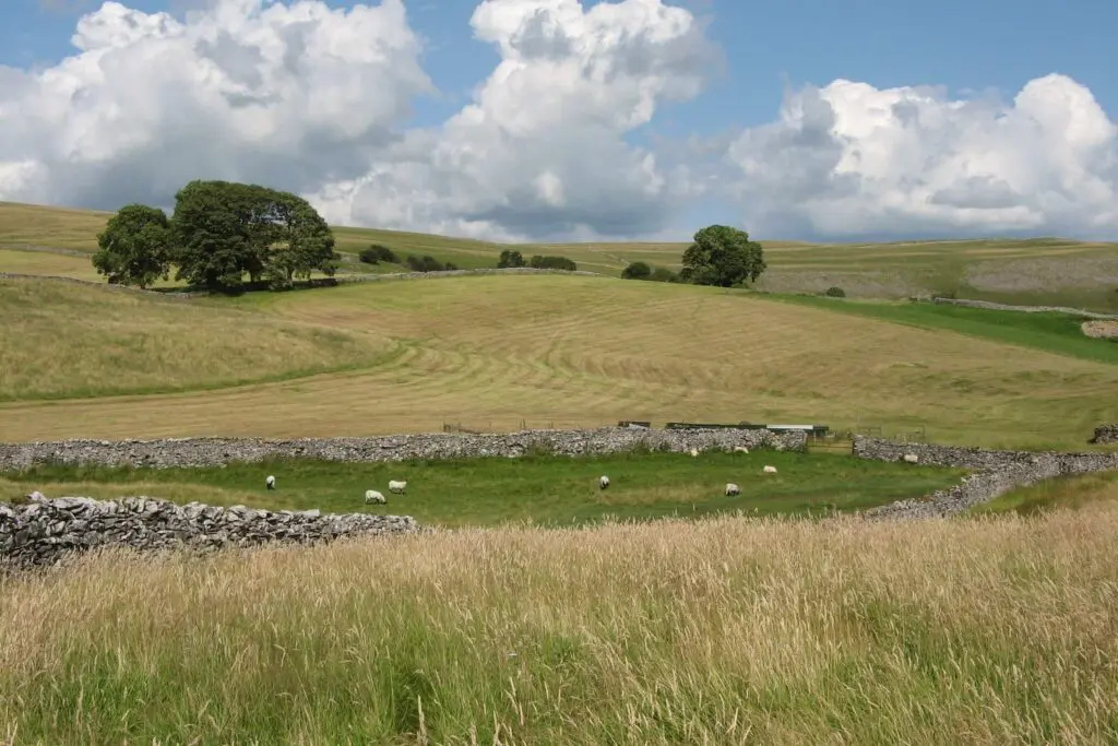 Mazonwath fields and Asby Common in the background