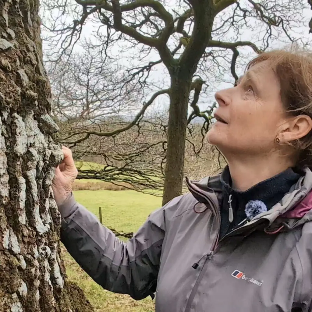 Volunteer Marion Brown looking at a tree