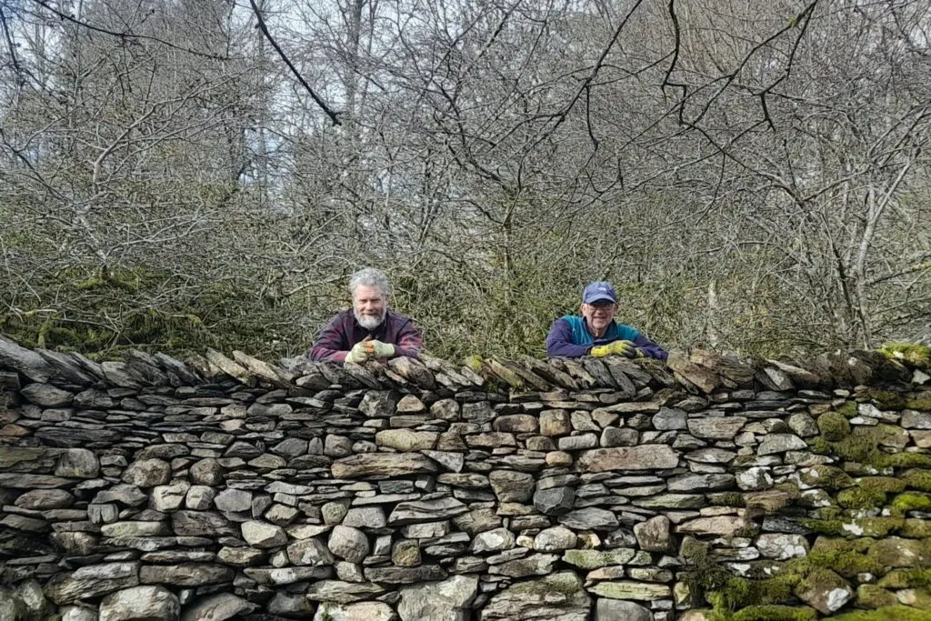 dry stone walling in Mikes Wood