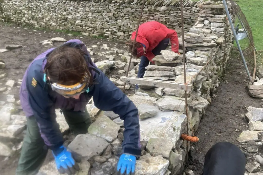 Dry stone walling at Mazonwath