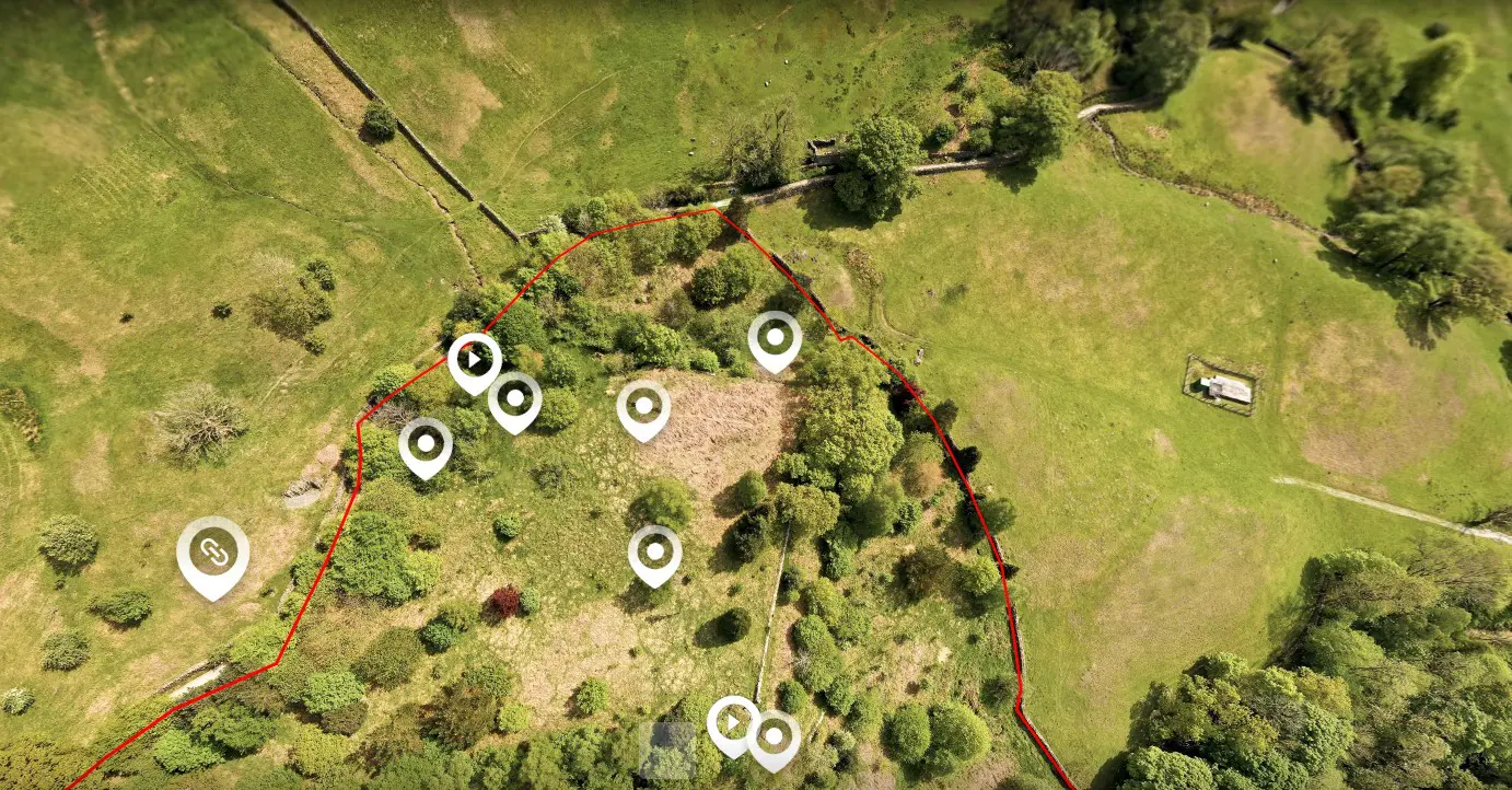 Sweden Wood virtual tour