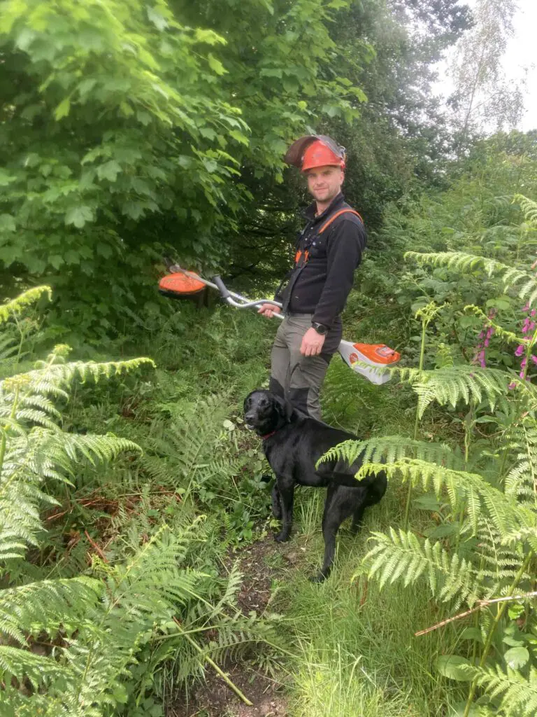 Volunteer strimming bracken at the Helm