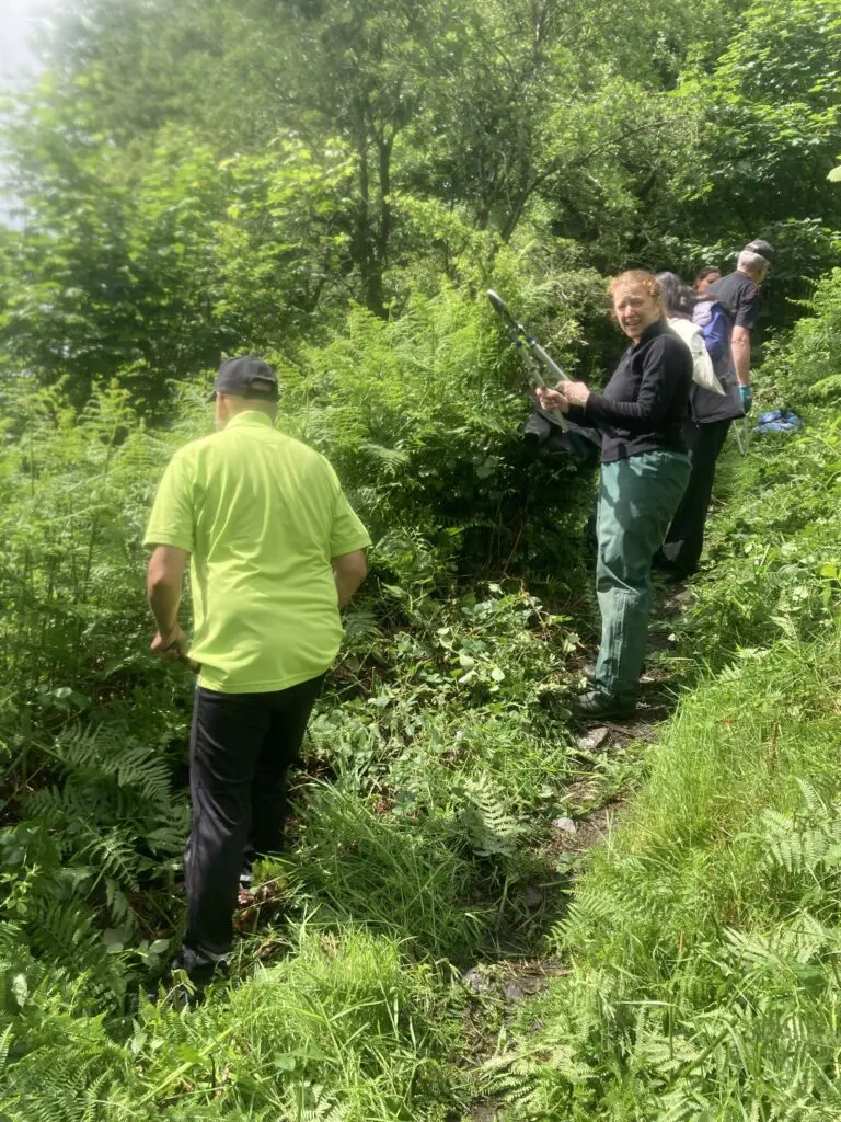 Volunteer cutting back paths on the Helm