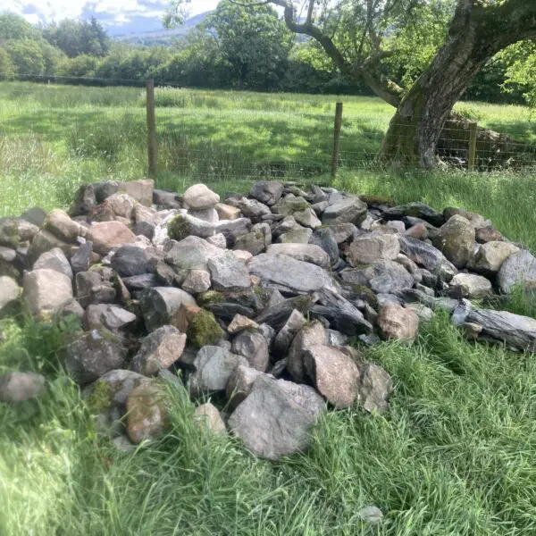 A pile of stone ready for making into Rachel's Seat at Dam Mire wood