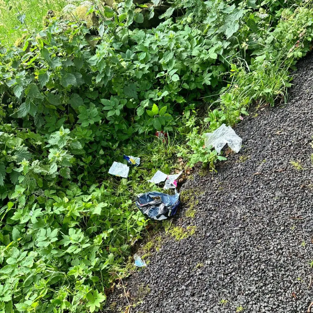 A verge full of rubbish