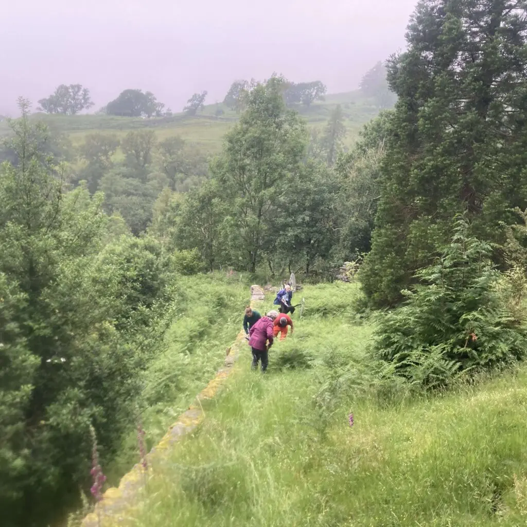 People working on a steep terrace in a green valley