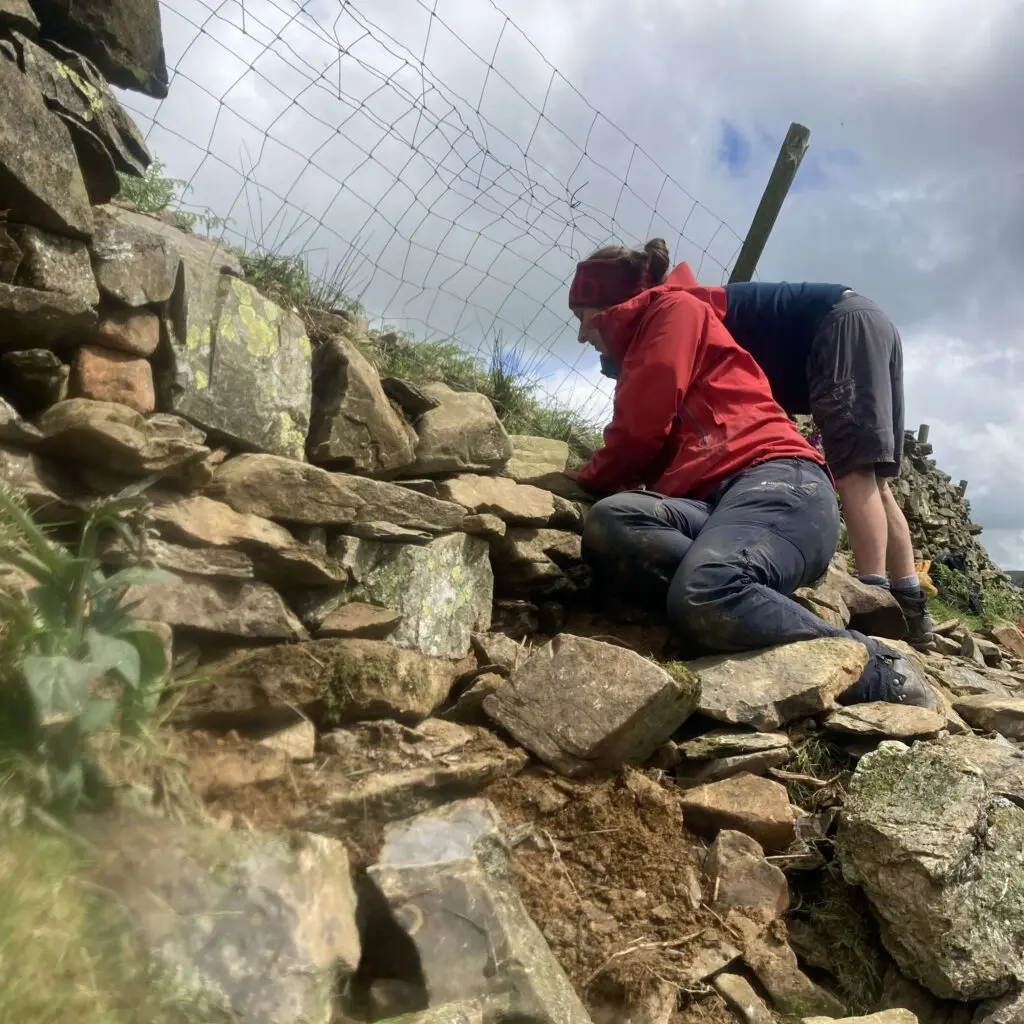Two people dry stone walling on a hill