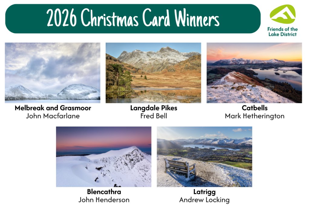 Christmas card winners collage