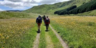 People walking through fields of yellow in a lovely valley