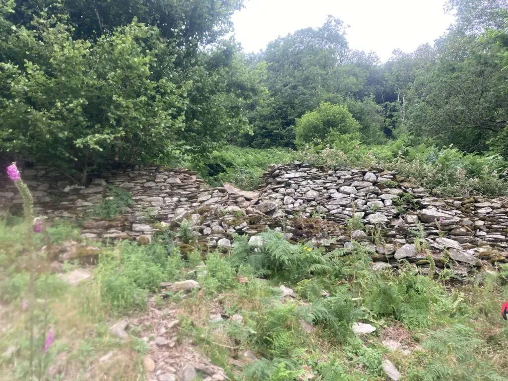 A broken down dry stone wall