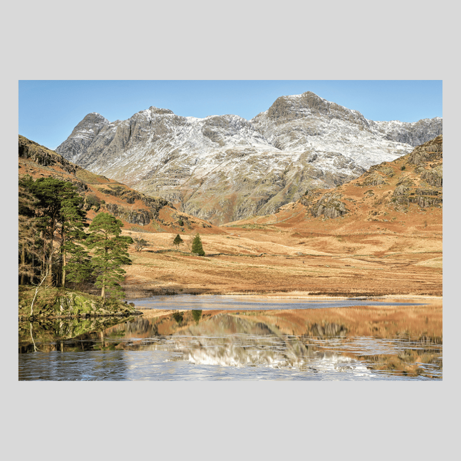 Christmas cards - Image 2