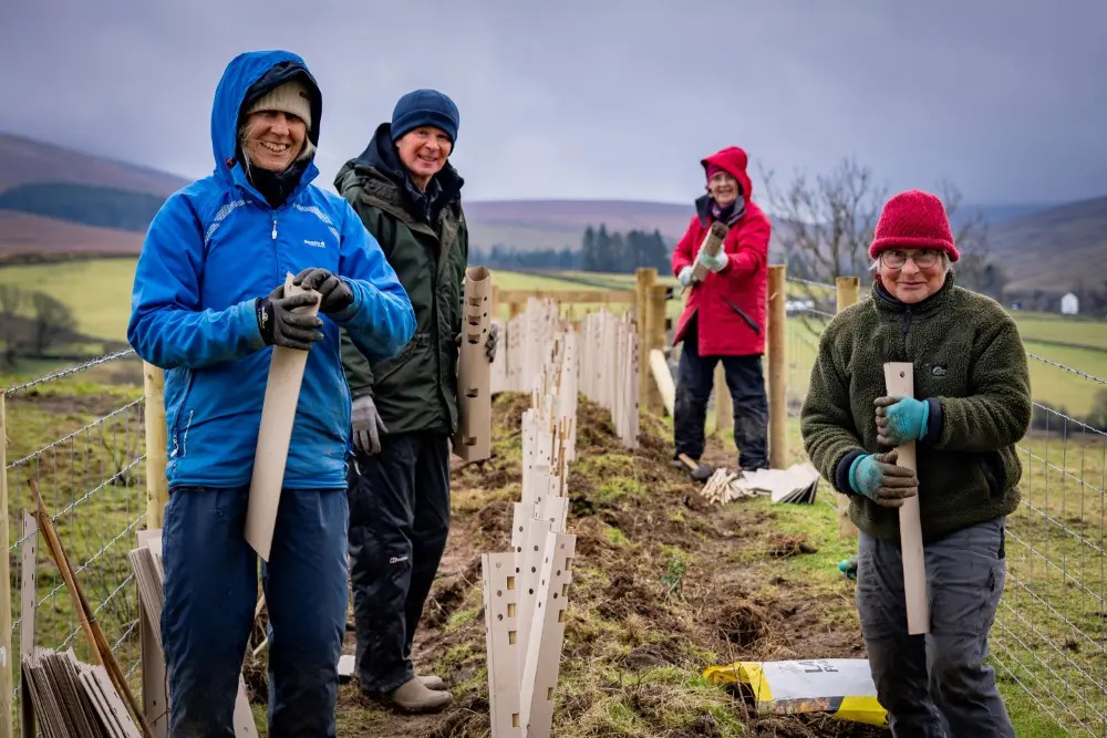 Group of volunteers planting a hedge