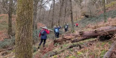 Volunteers in Rusland woods
