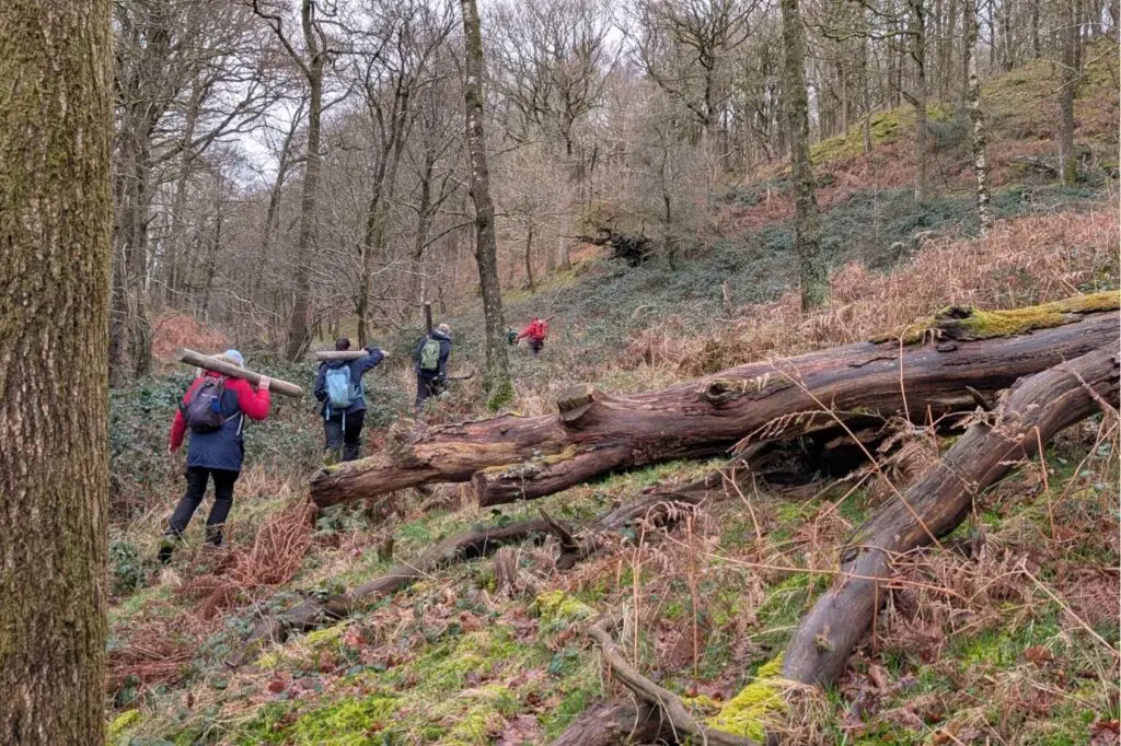 Volunteers in Rusland woods