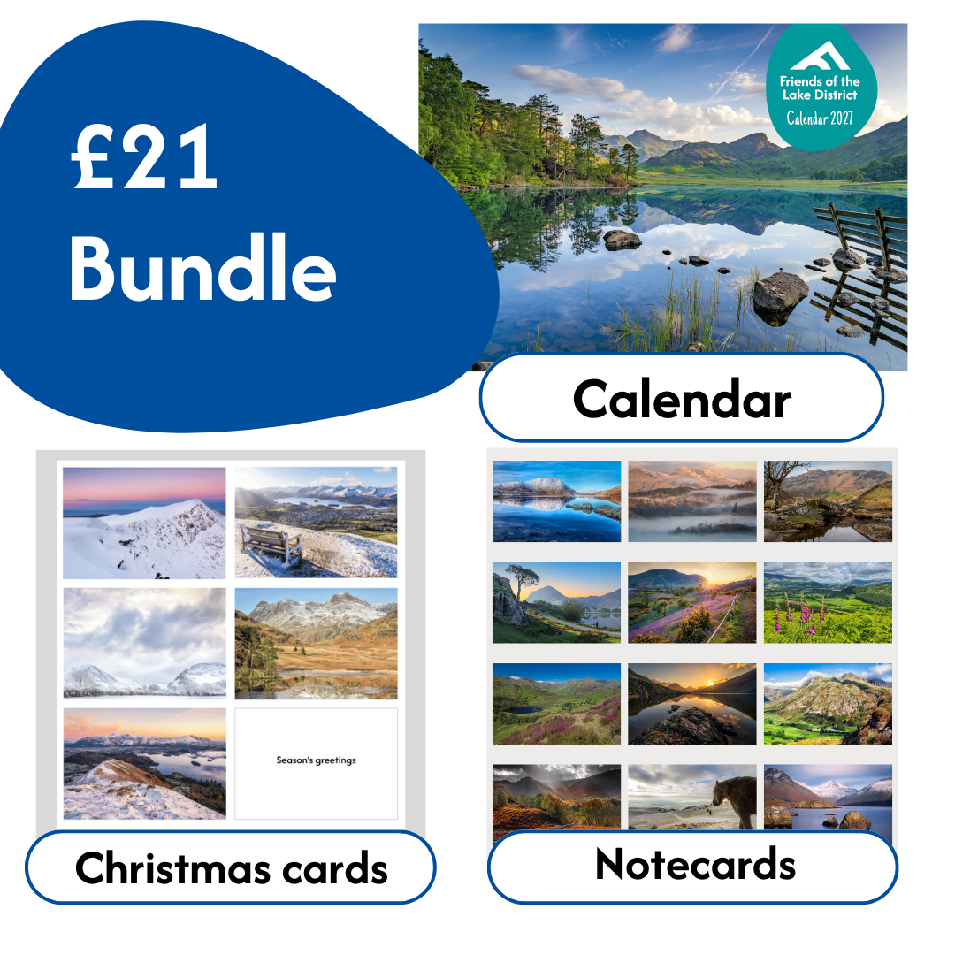 Bundle Offer