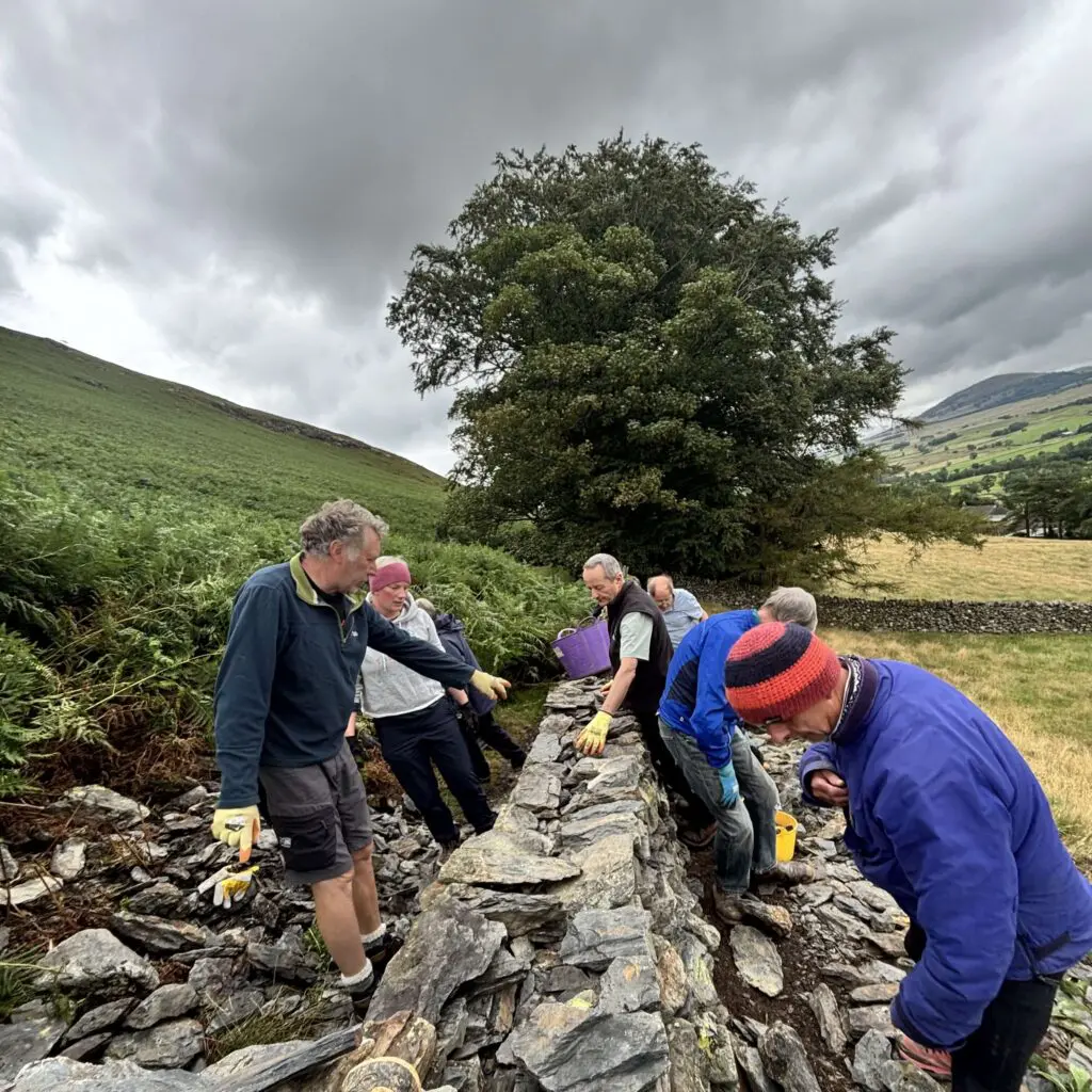 People at work dry stone walling under a grey sky