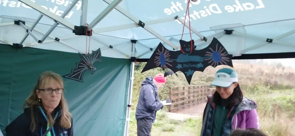 Paper bats hanging up under a gazebo
