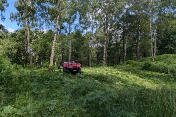 Bracken bashing with roller in woodland
