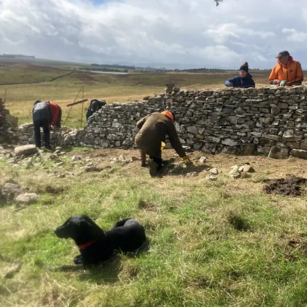 Volunteers working on dry stone wall