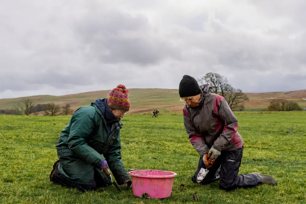 Two volunteers planting plug plants in a field
