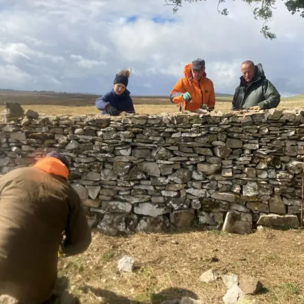 Volunteers finishing dry stone wall