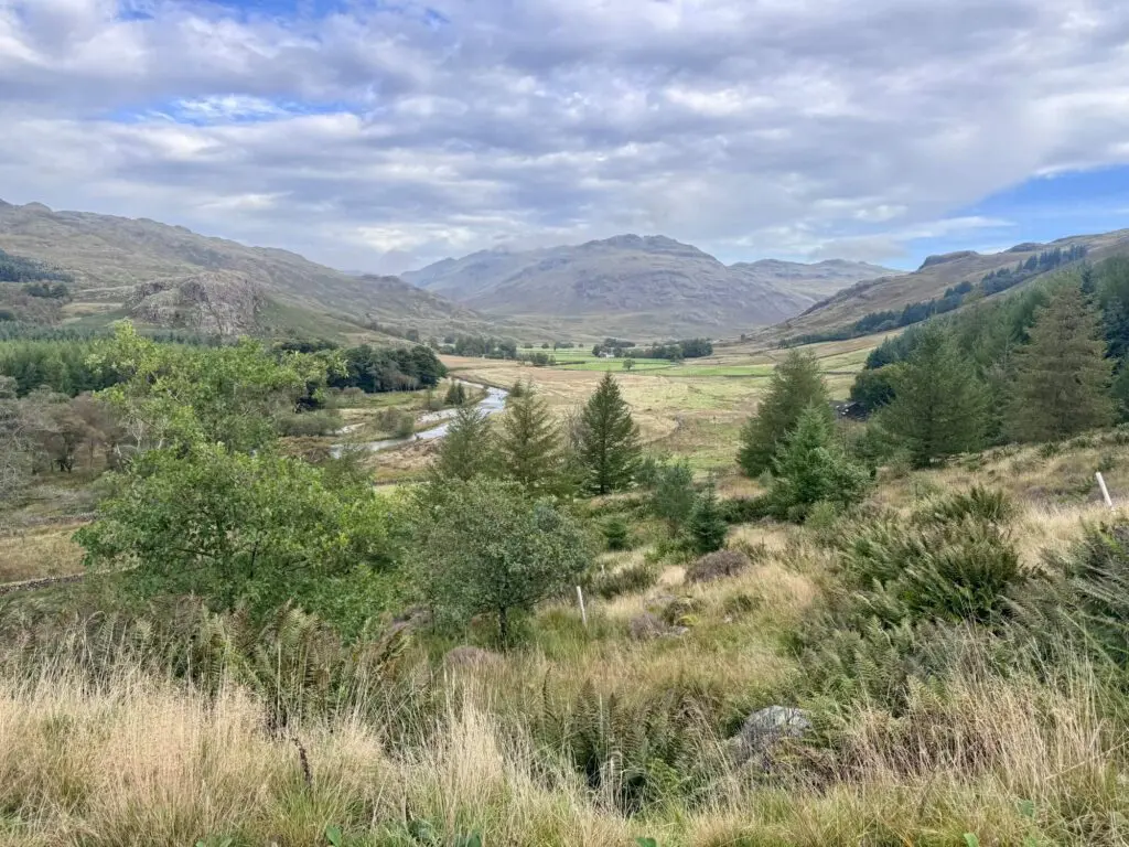 a beautiful landscape of fells and trees