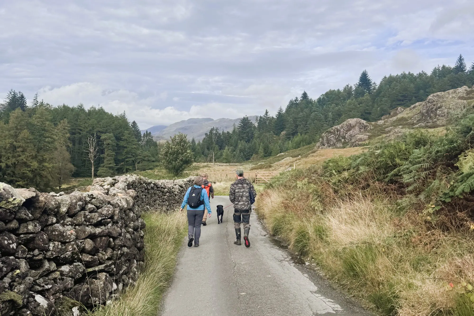 people walking down a country road