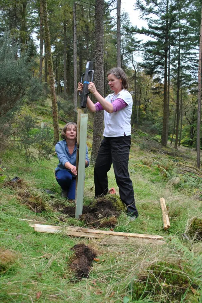 Two female volunteers tree planting at Great Briery Wood, Coniston Fell Care Day