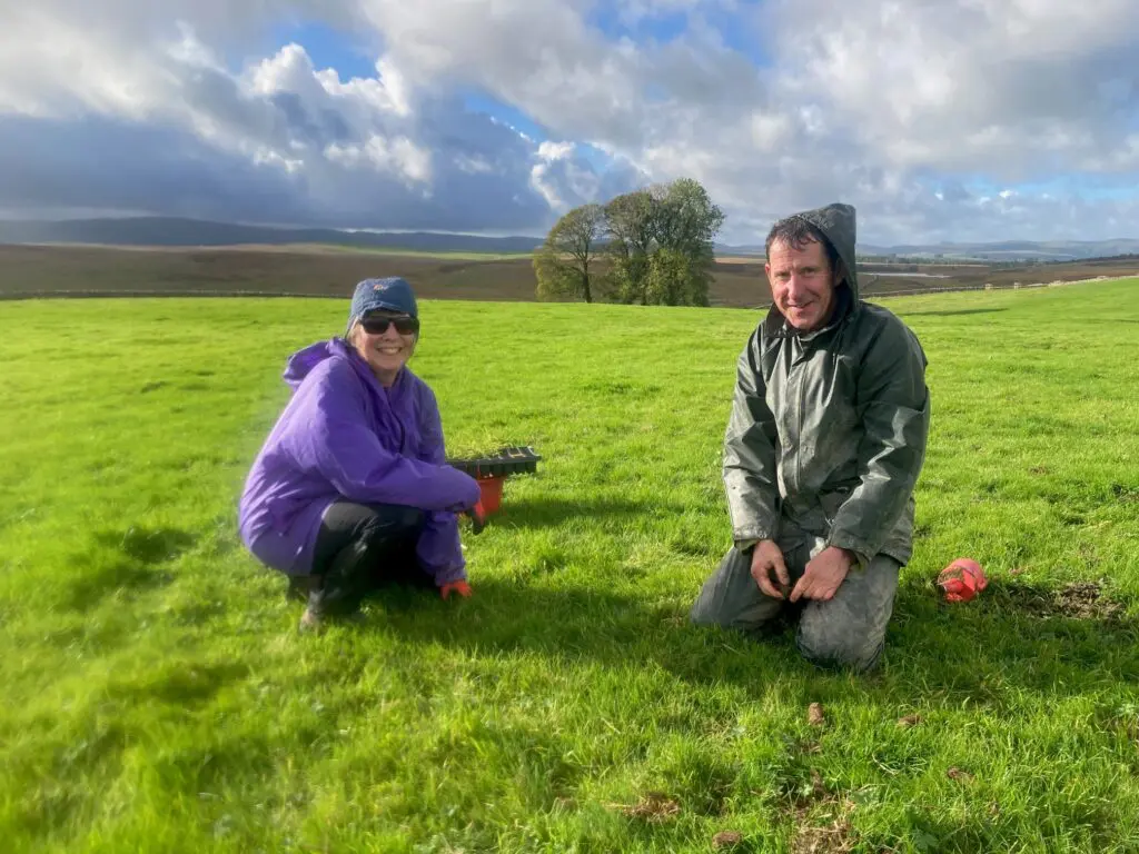 People in a field planting flowers