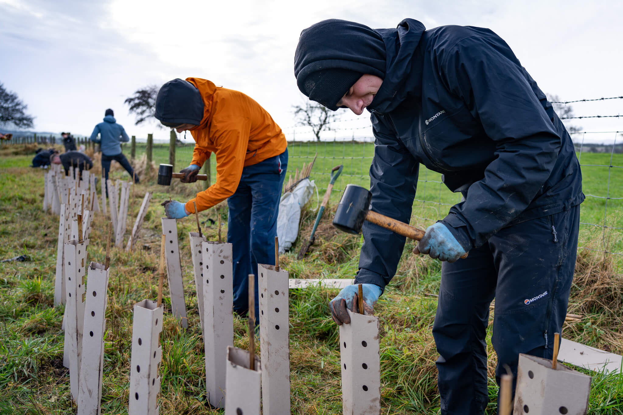 Two lads hammering in stakes for planting