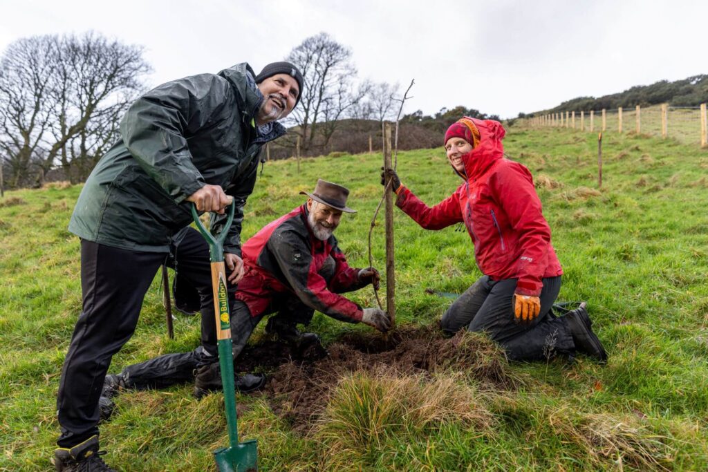 Helm workparty volunteers planting trees