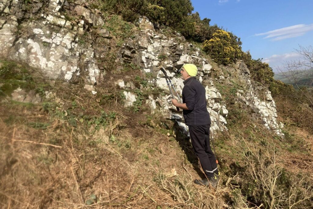 After clearing the gorse