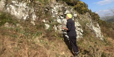 After clearing the gorse