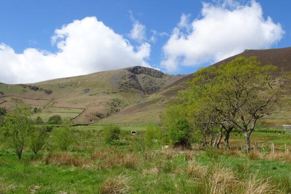 Dam Mire - view of Blencathra