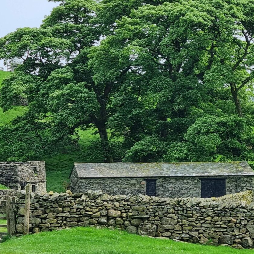 High Borrowdale landscape with a barn and trees
