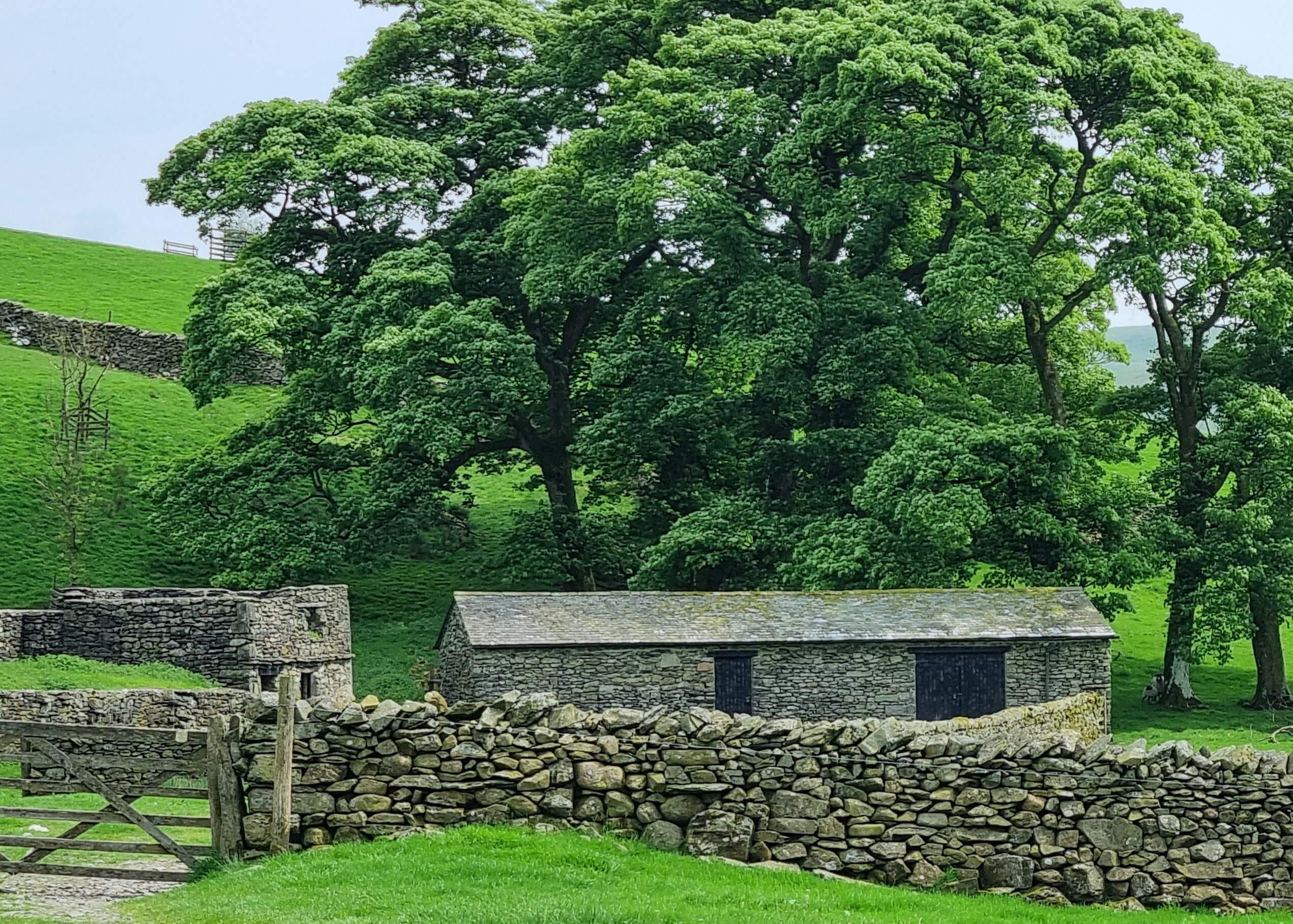 High Borrowdale landscape with a barn and trees
