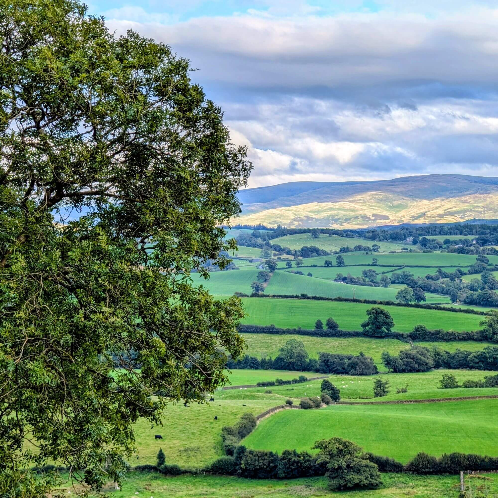 Helm views over a hilly landscape