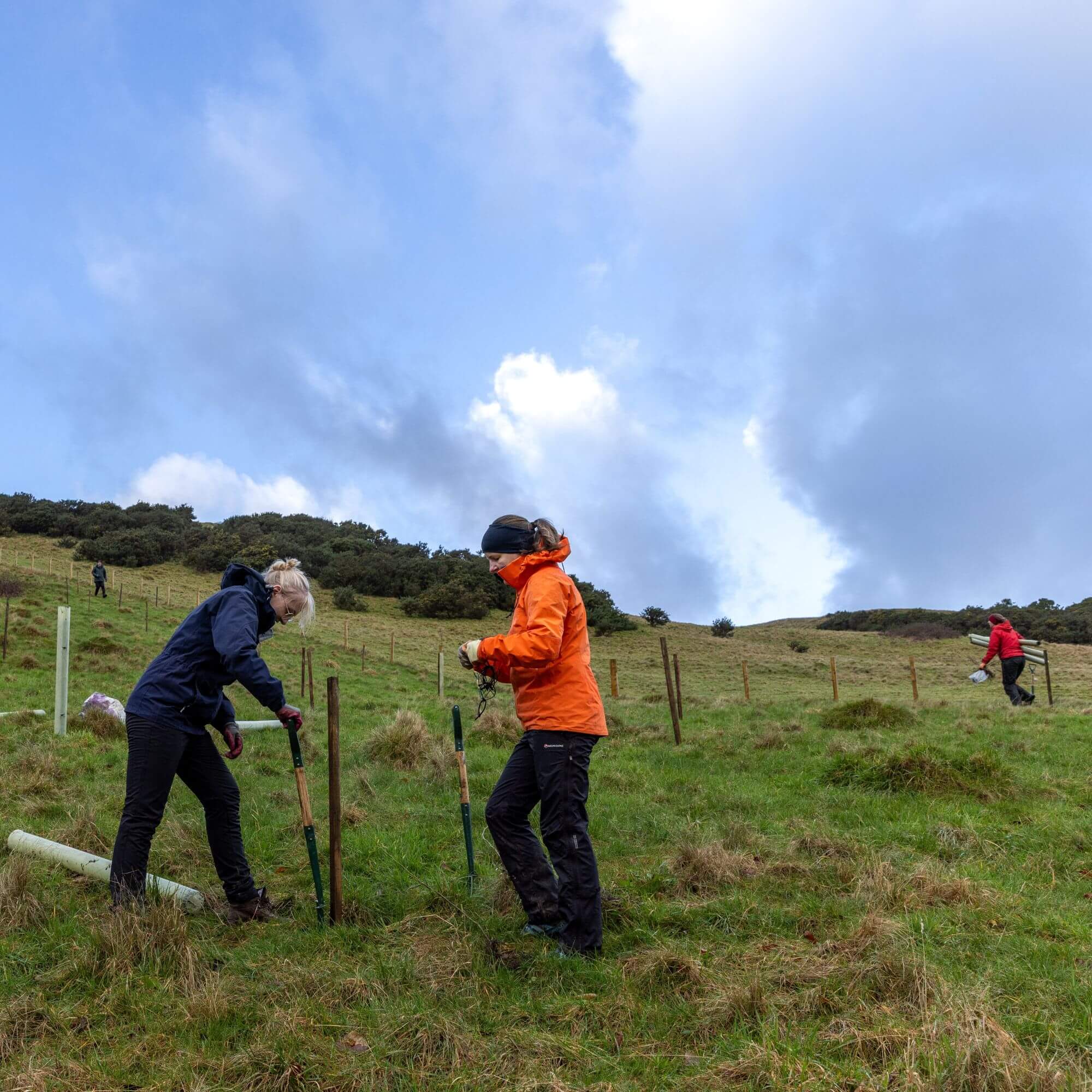 Volunteers at work on the Helm.