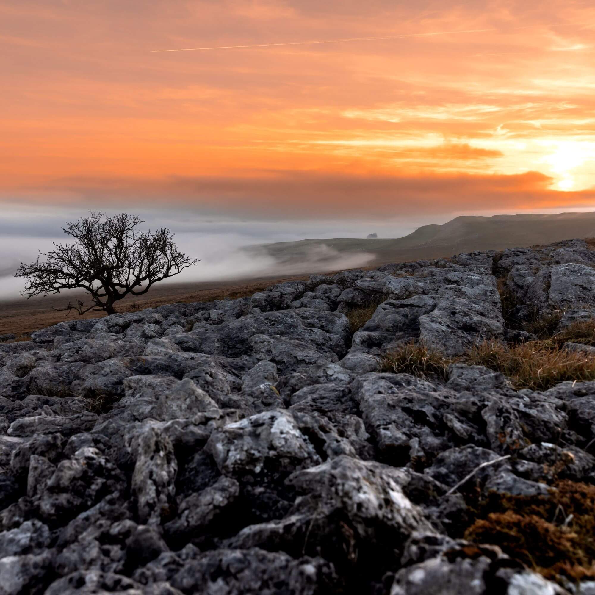 Little Asby Common at sunrise