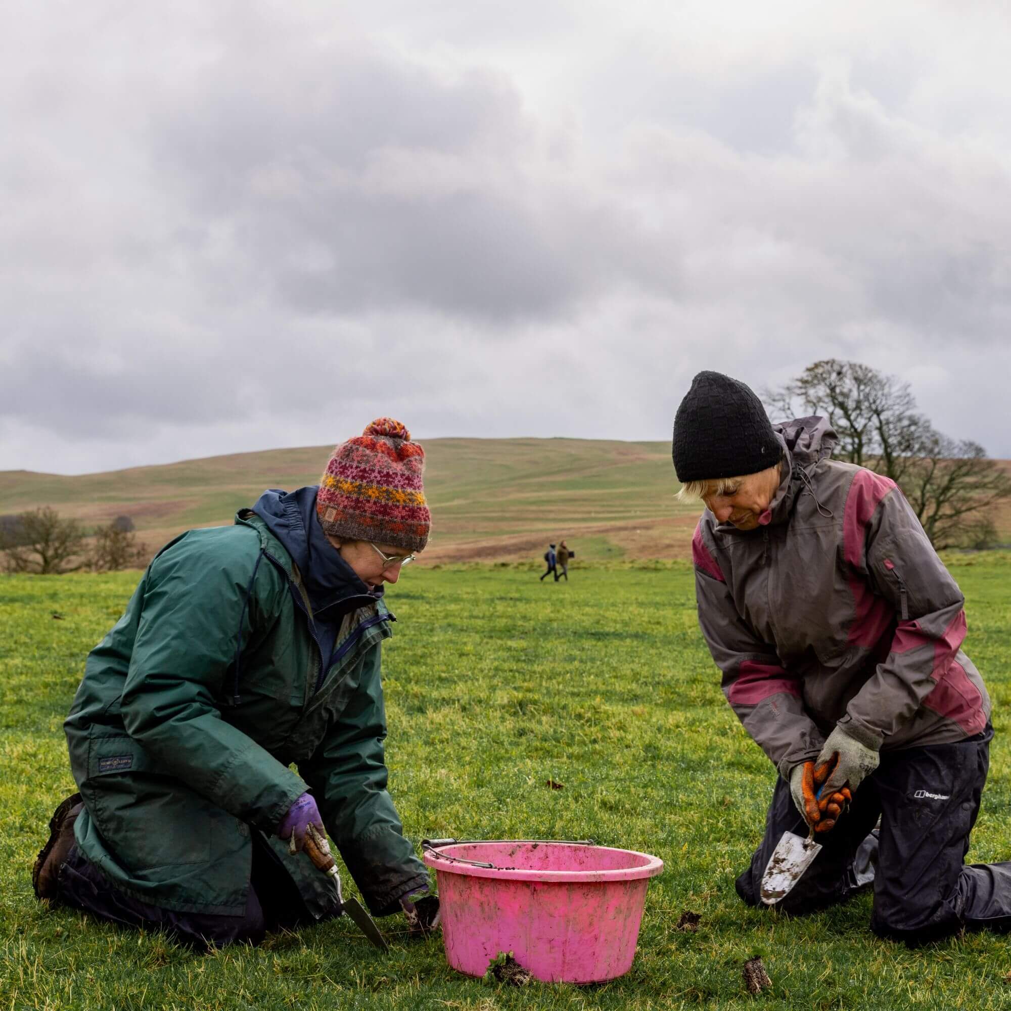 People knelt on the ground in Mazonwath plug planting.