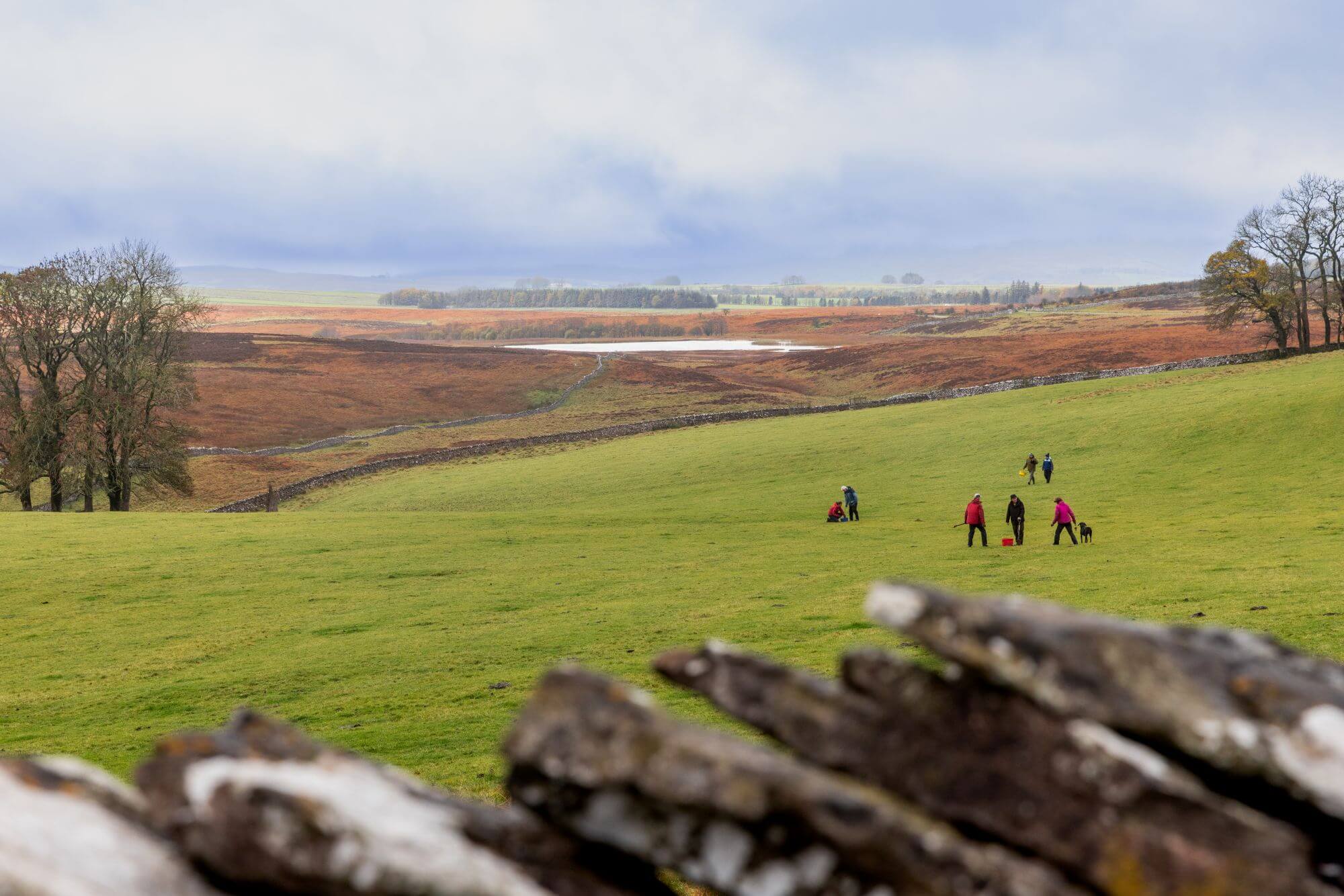 People in a field at Mazonwath plug planting
