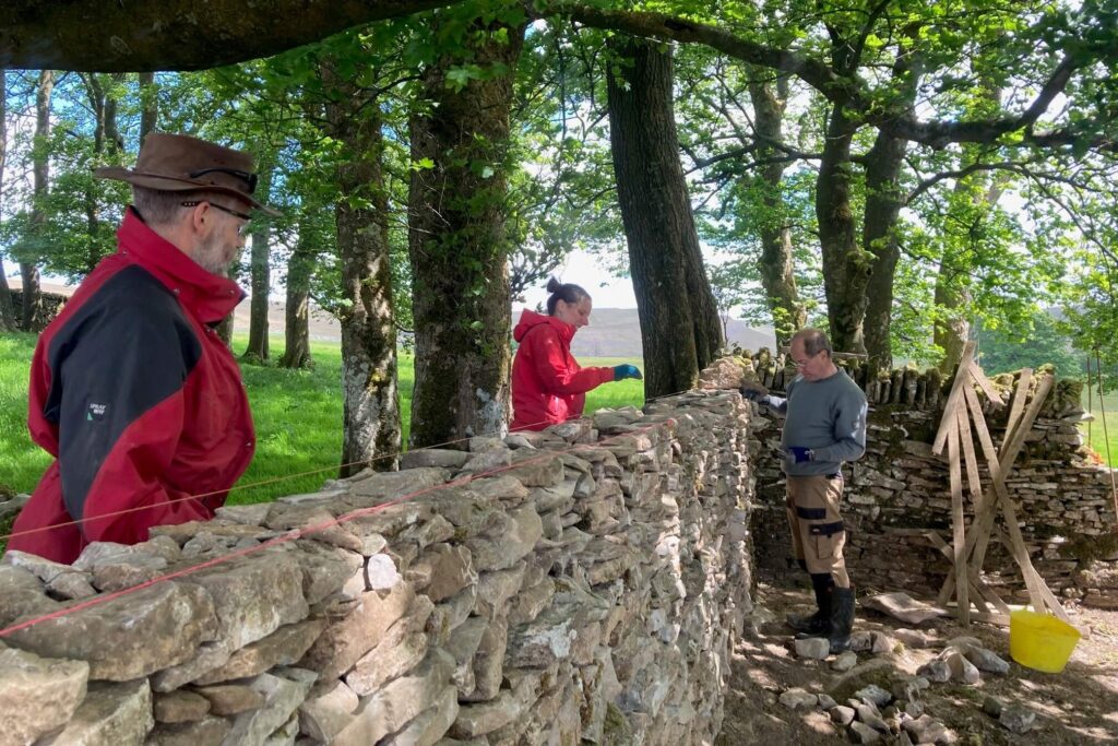 People dry stone walling in Mazonwath