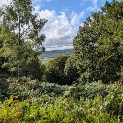 View from Rusland woods