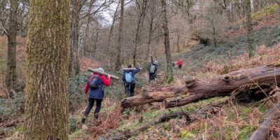 Volunteers in a wood carrying fence posts