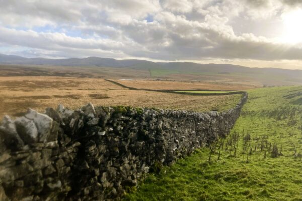Dry Stone Walls on Little Asby